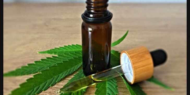 How and why is hemp seeds oil totally different from CBD oil?